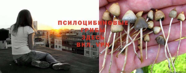 мескалин Алексеевка