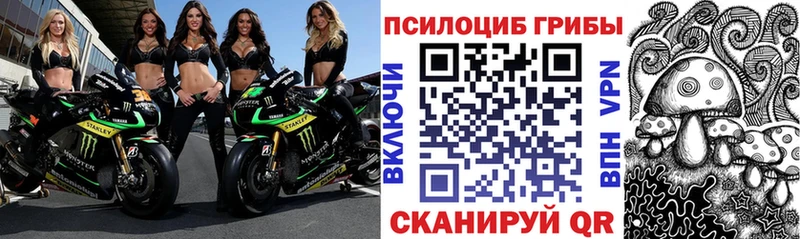 Псилоцибиновые грибы прущие грибы  Минусинск 